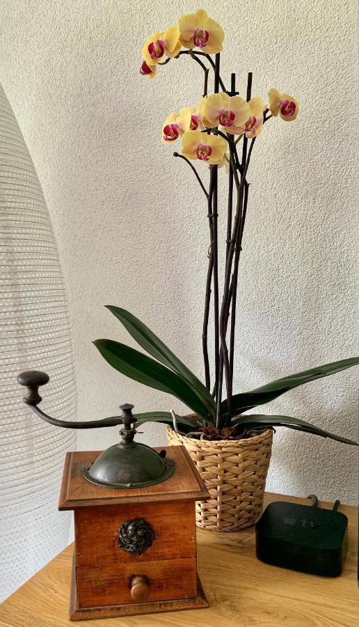 Bueelbad - Relax Holiday Apartment คันเดอร์ชเตค ภายนอก รูปภาพ