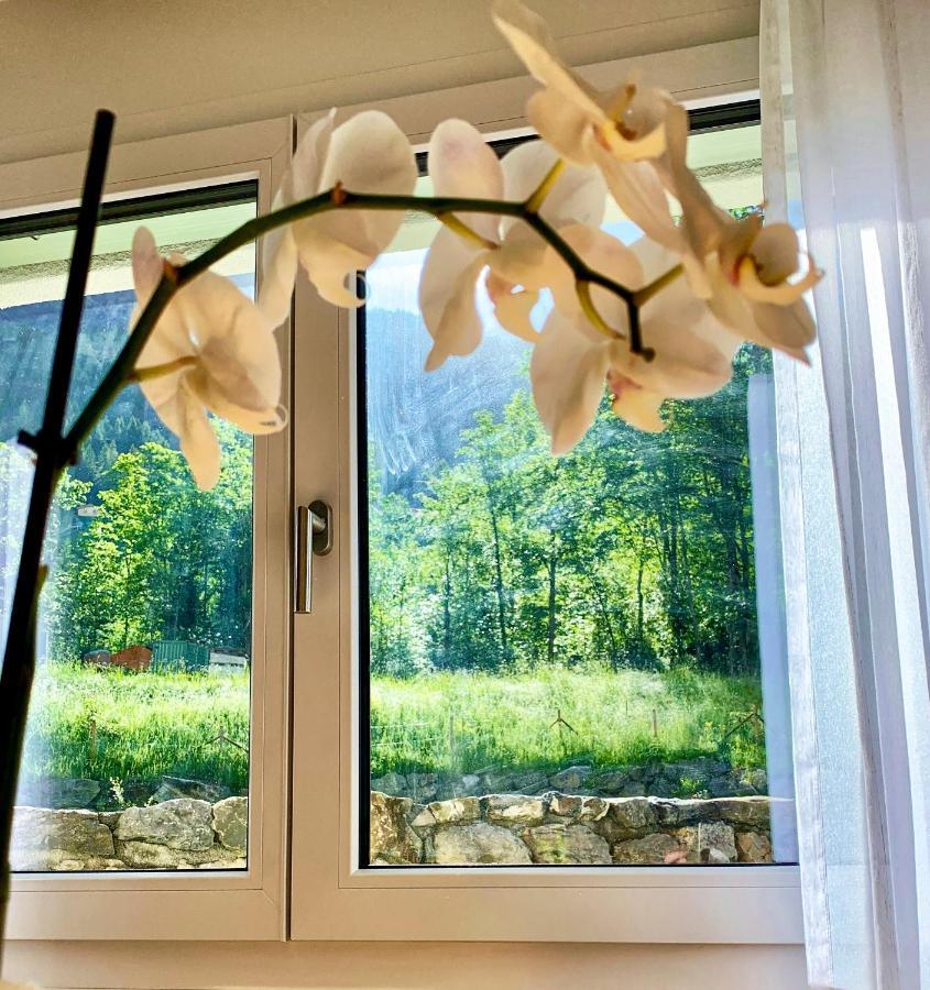 Bueelbad - Relax Holiday Apartment คันเดอร์ชเตค ภายนอก รูปภาพ